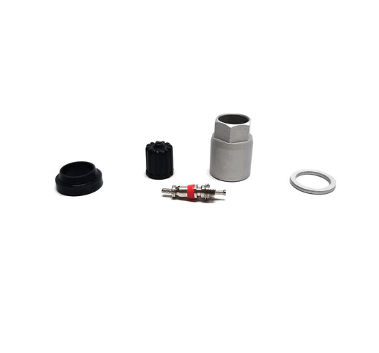 Hamaton TPMS Kit - 6-111, 1100K For Pacific LFB1/LFC1 - 10bx