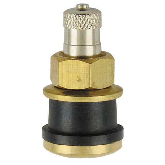TR575 - Clamp-In Truck Tire valve - 1.13" - Straight - Pack of 10